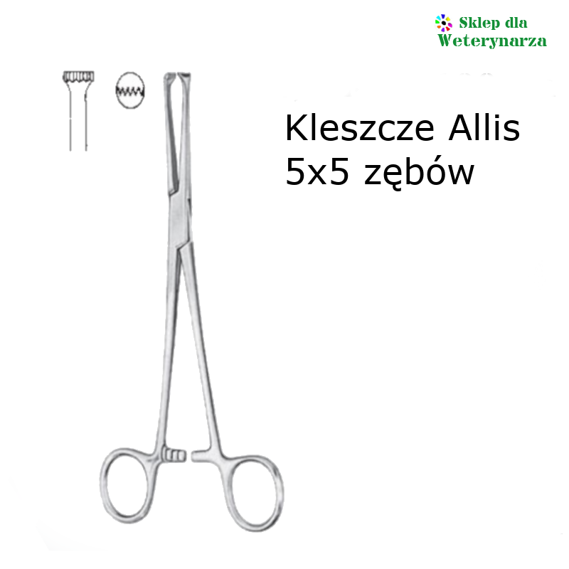 Kleszcze Allis 5x5z 19cm KD 055/19